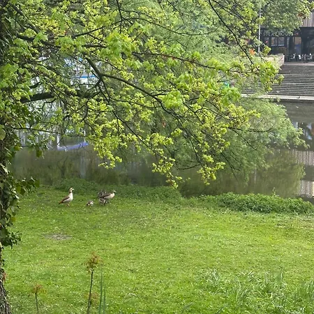 Am Neckar Mit Tiefgarage *