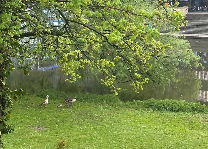 Am Neckar Mit Tiefgarage *